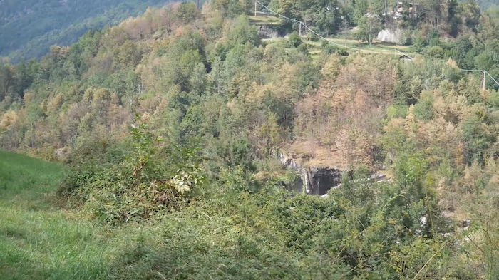 Mortalità o sostituzione di specie: il futuro dei boschi ossolani