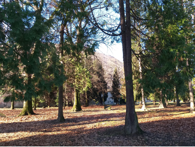 Parco Robinson, al via a giugno gli interventi di riqualificazione