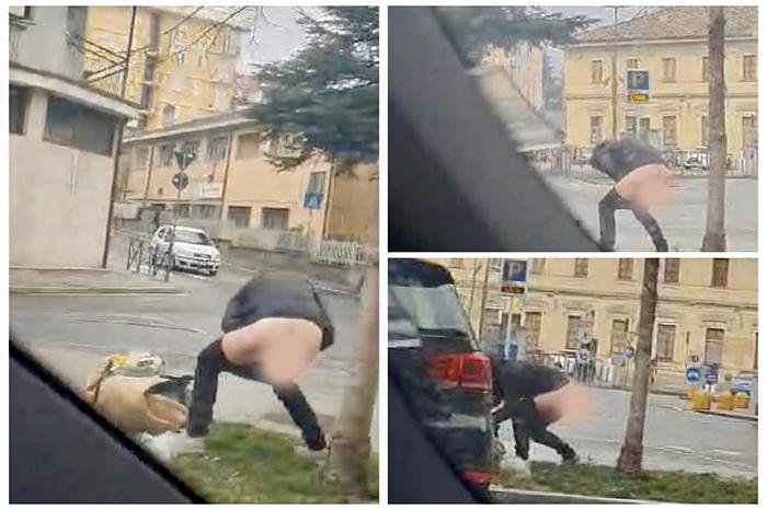 Fa i suoi bisogni in un'aiuola della stazione