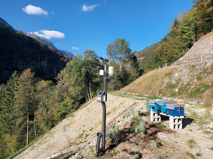 Spiare le api per monitorare l'ambiente: il progetto targato Enel e Alveare Ossolano 