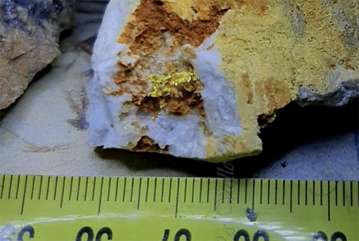 Trovato il quarzo con il "ricciolino" d'oro in una antica miniera di Macugnaga. Foto
