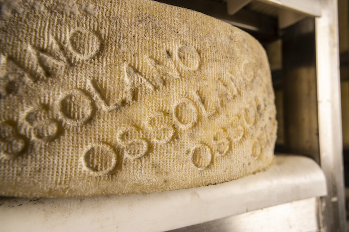 L'Ossolano Dop in tour con le eccellenze casearie del Piemonte 