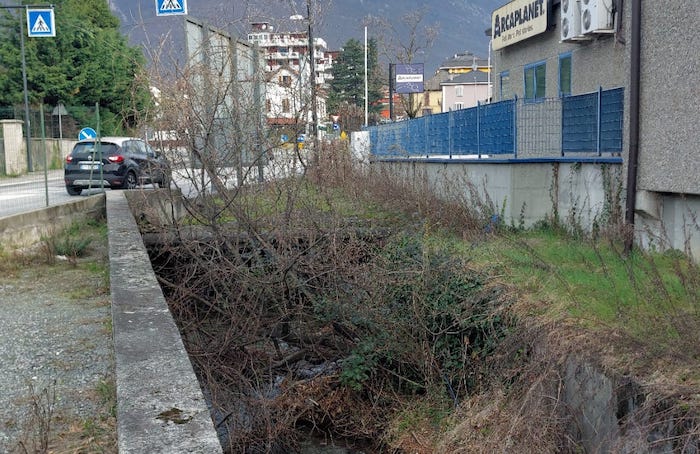 Segnalazioni: quella pianta che ostruisce la roggia