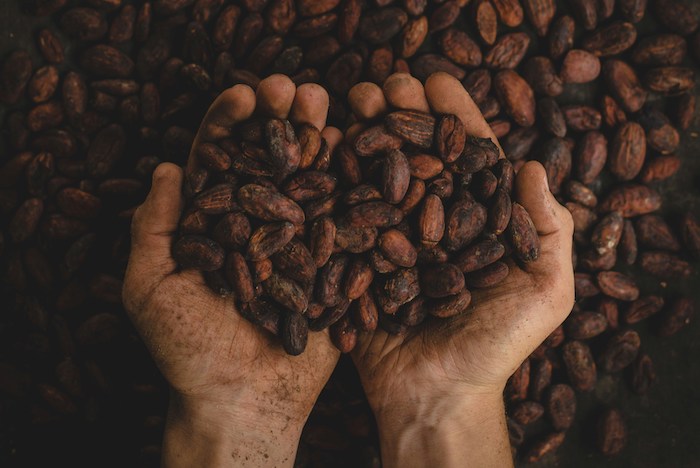 Incontro col regista che ha svelato il "lato oscuro" del cioccolato, al Sant'Anna
