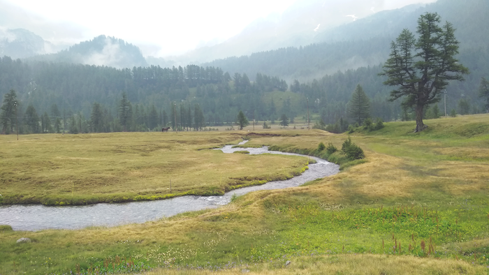 Alpe Veglia: torna "Poesia sulle Alpi", incontro transfrontaliero a suon di versi 
