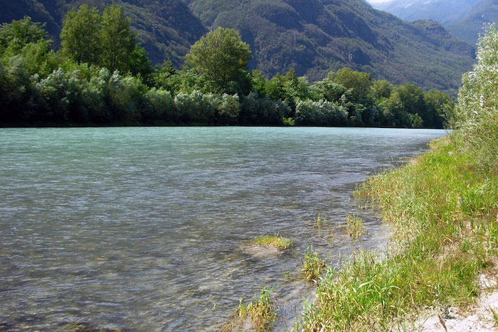 Lungo il Toce corre l'ingresso nel parco nazionale di Ornavasso e Mergozzo 