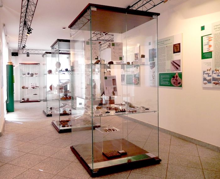 Piccoli ritrovamenti archeologici e tanti visitatori virtuali: un anno al Museo di Mergozzo