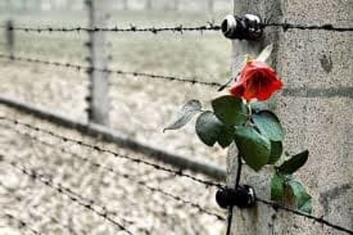Le celebrazioni del Giorno della memoria
