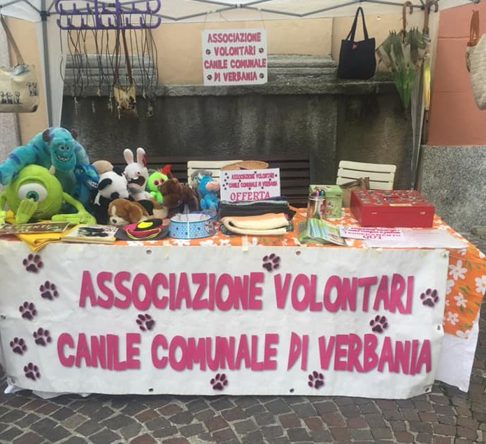 Nuovo direttivo per l'associazione volontari del canile
