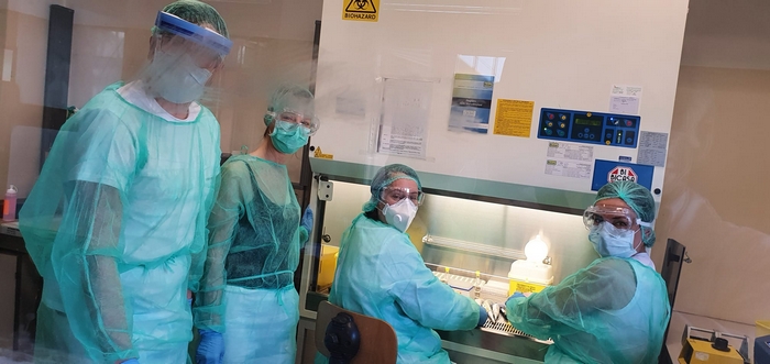 A Verbania il primo test d'analisi dei tamponi Covid-19. Da martedì servizio a regime