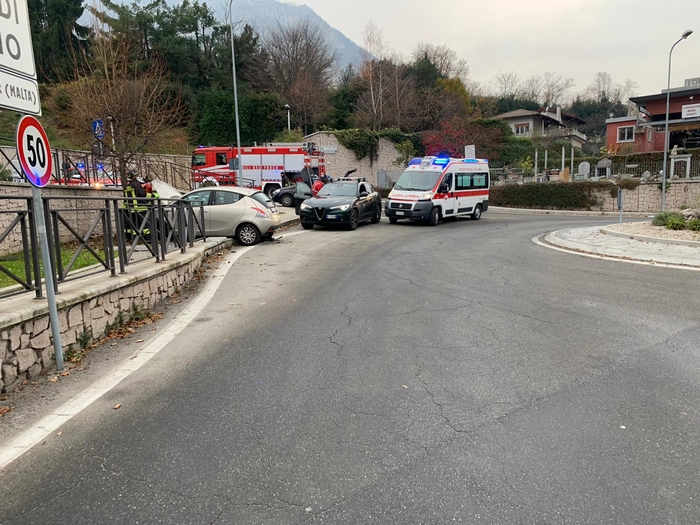 auto albero due