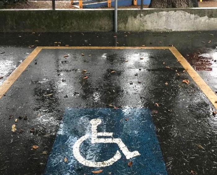 Verso una nuova "mappa" dei posteggi disabili in città