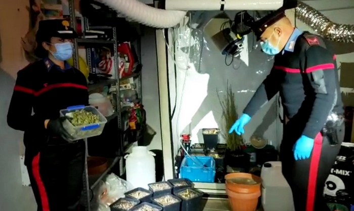 Sequestrata mini-serra di marijuana in garage