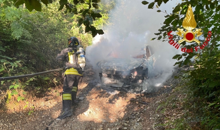 Rubano l’auto di un turista, l’abbandonano nel bosco e le danno fuoco