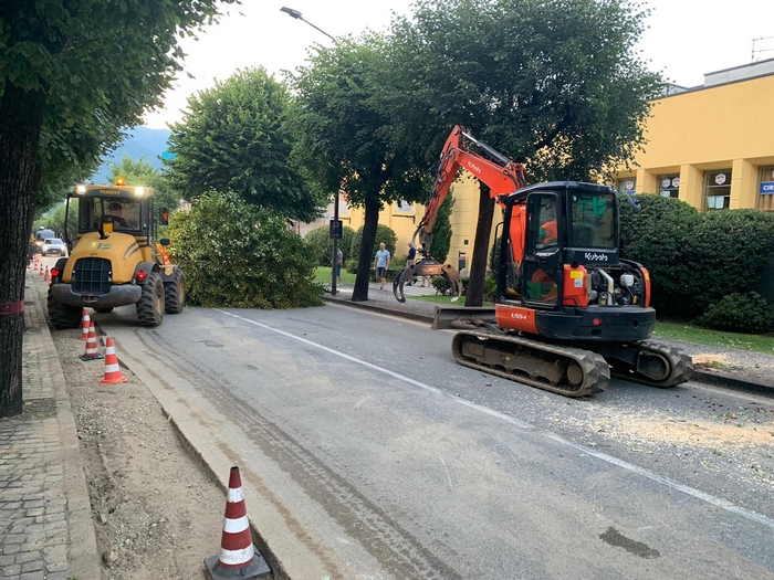 Abbattuti i 35 tigli della statale a rischio crollo (foto)