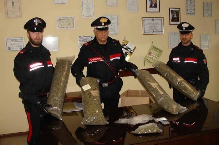 Droga tra le due sponde del Verbano: sequestrati 4,5 chili di marijuana