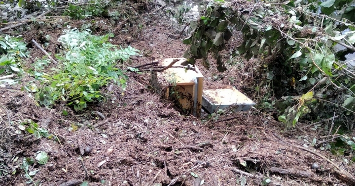 Una raccolta fondi a favore degli apicoltori del Vco colpiti dall'alluvione