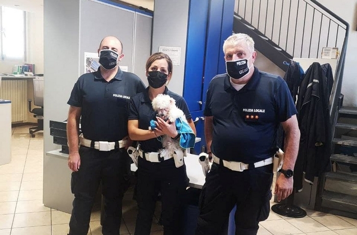 Lasciano il cane nell'auto sotto il sole: intervengono vigili e pompieri