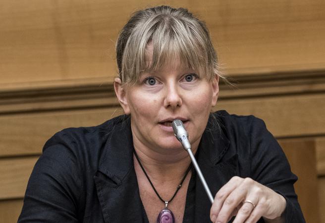 Verbania, in piazza il sit-in dei Covid-scettici