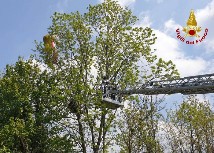 Parapendista manca il punto d'atterraggio e finisce impigliata in un albero