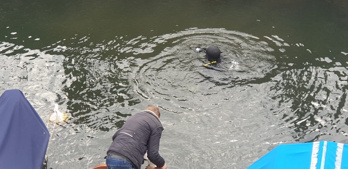 I sub ripuliscono il fondale del porto di Ghiffa (foto)