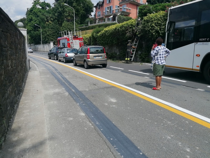 Il senso unico ostacolato dagli arbusti: non passano i pullman e arrivano i vigili del fuoco