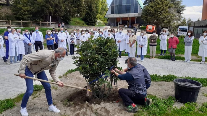 Una pianta di rododendro in ricordo della dottoressa gentile