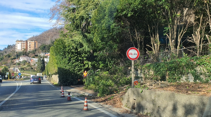 Gli operai al cantiere della ciclabile tranciano la fibra ottica: blackout a Verbania