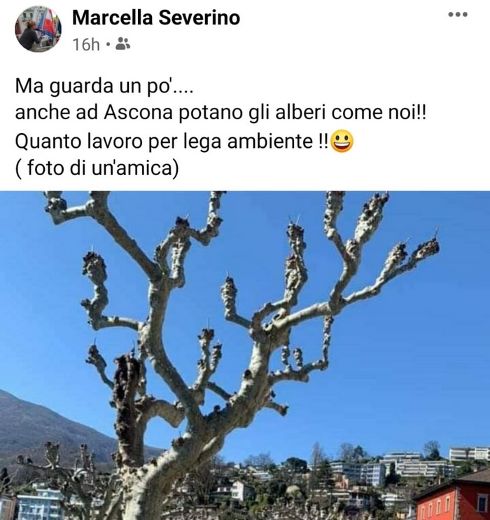 Potature selvagge e sarcasmo social: il sindaco ribatte a Legambiente