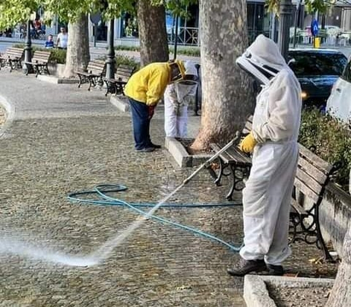 Il gelato caduto sul lungolago attira uno sciame d’api: quattro persone punte