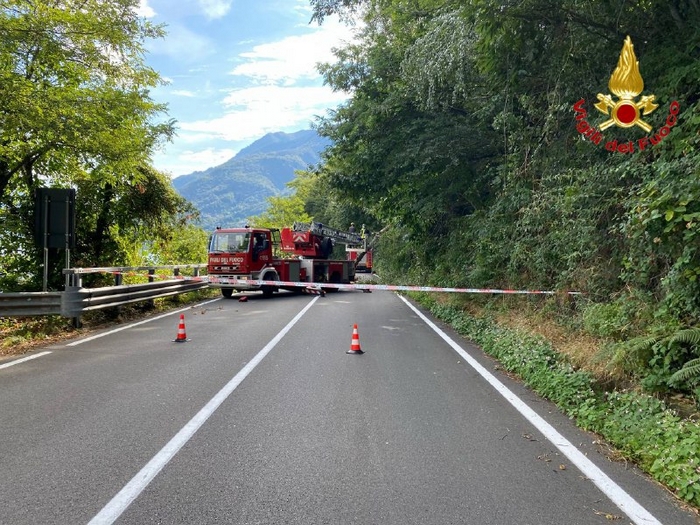 Pianta crolla sulla litoranea, strada chiusa tre ore