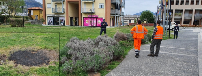 Vandali in piazza danno fuoco a una pianta 