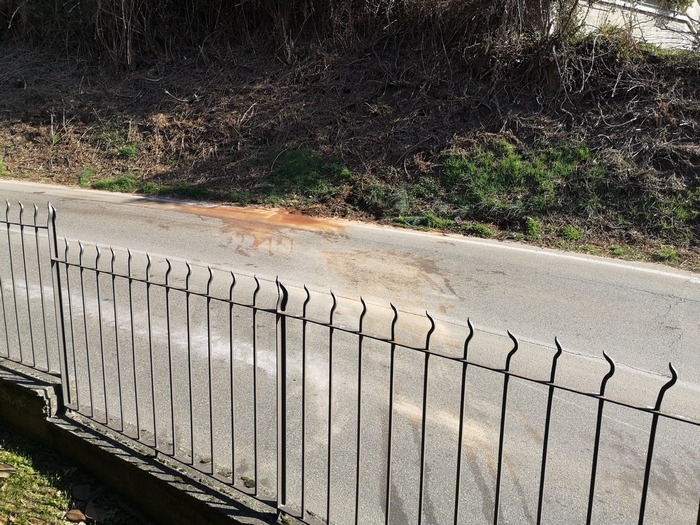 Dopo l'incidente la protesta di Zoverallo: strada senza luce, marciapiede e poco sicura