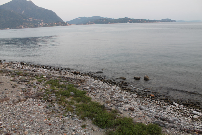 Un salto collettivo nel lago per accendere i riflettori sulla siccità