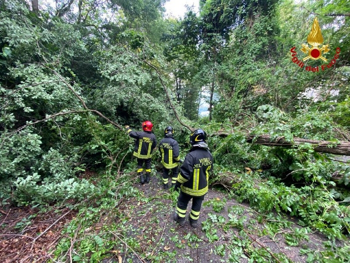 Violento nubifragio sul Verbano: alberi caduti e problemi alla viabilità