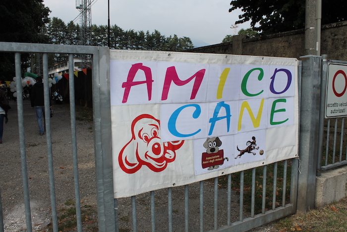 Torna "Amico cane", appuntamento al Robinson 