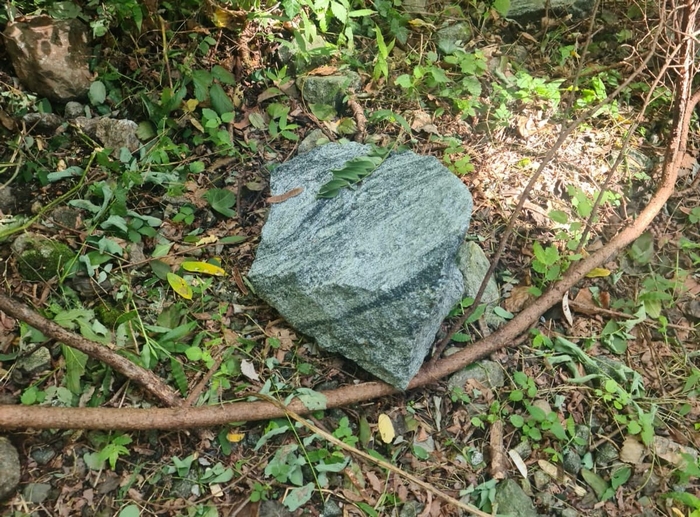 Smottamento dai corni di Nibbio (foto)