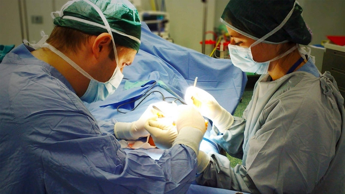 Donazione d’organi e tessuti, Vco 18esima provincia più generosa d’Italia