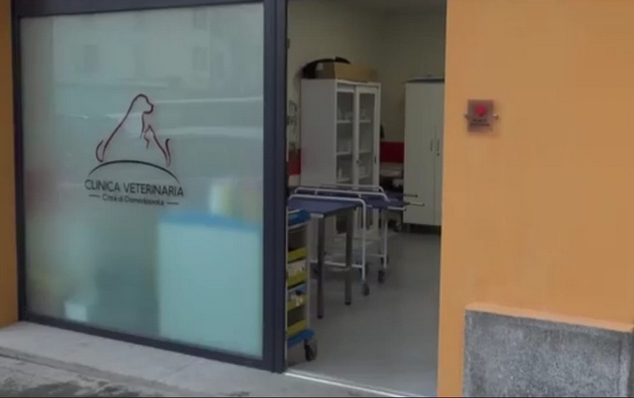 Chiropratica e cura veterinaria: convegno a Domo