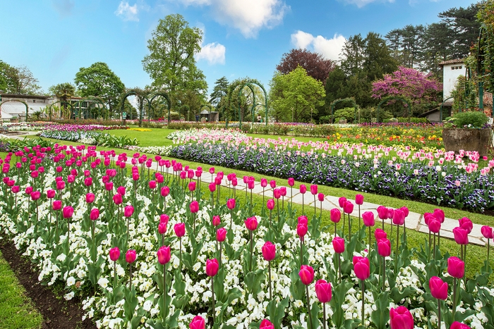La Pasquetta a villa Pallavicino è con la caccia al tesoro… botanica