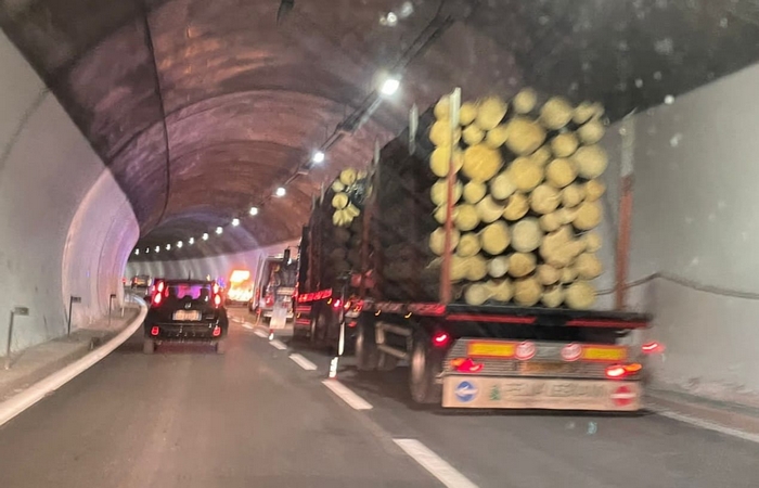 Lunghe code sull’A26 per un camion di legname bloccato in galleria