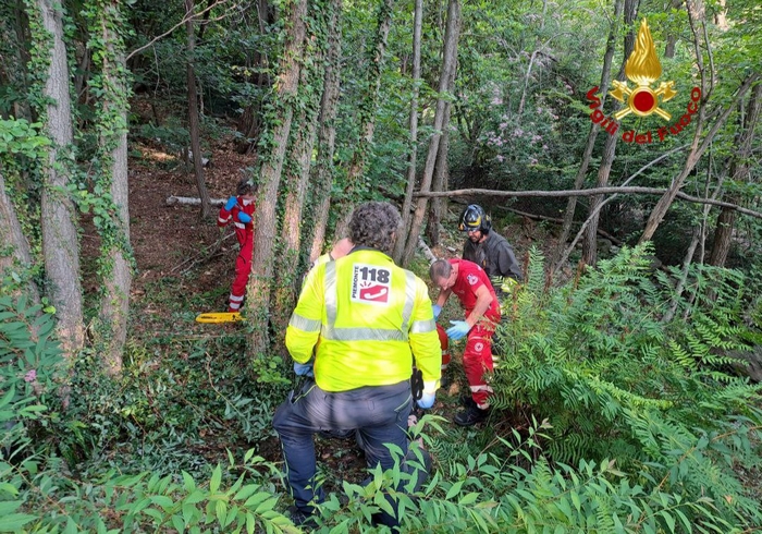Trentaseienne si fa male mentre lavora nel bosco 