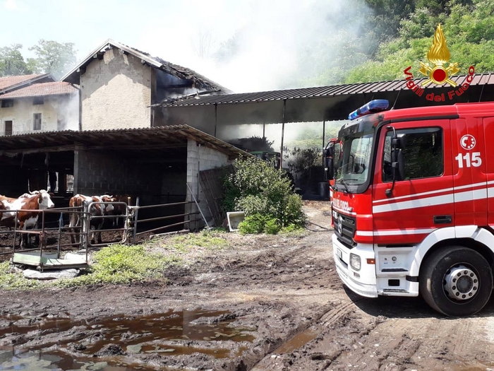 Stalla a fuoco