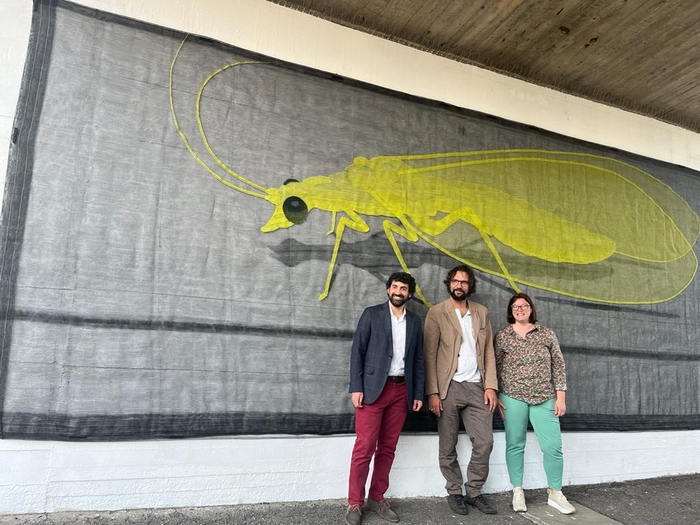 Verbania abbraccia la "crisopa"
