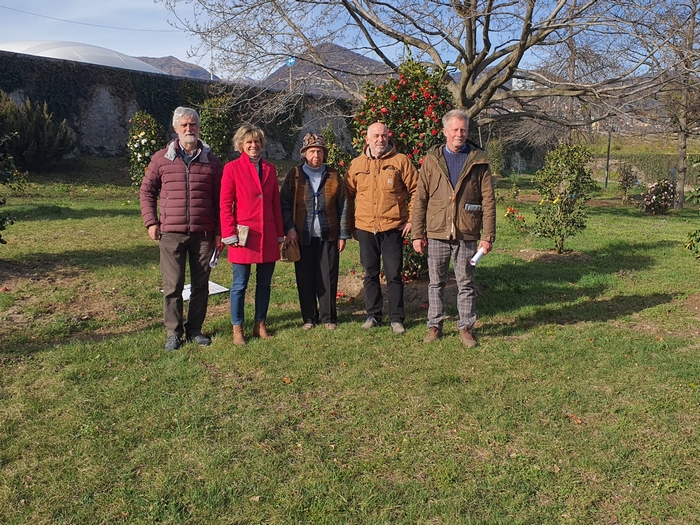 Mostra della camelia con vetrina internazionale e in omaggio al maestro Hillebrand