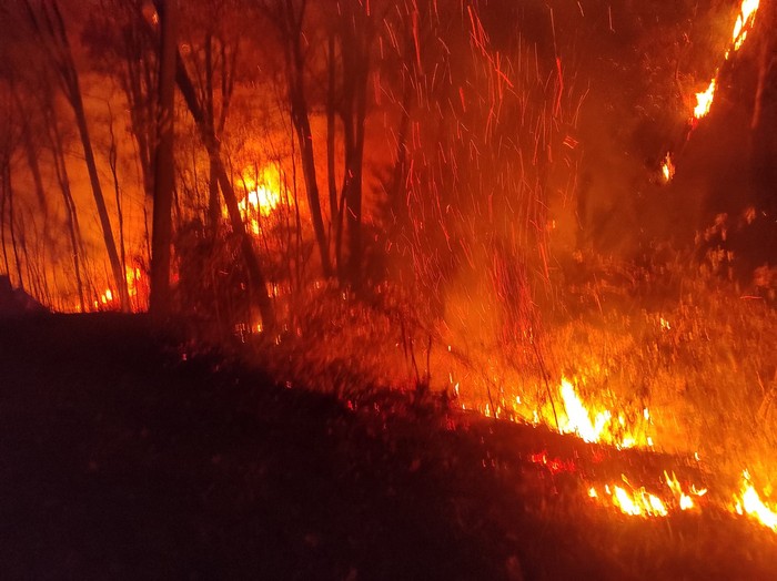 Fiamme nel bosco vicino alle case a Bieno