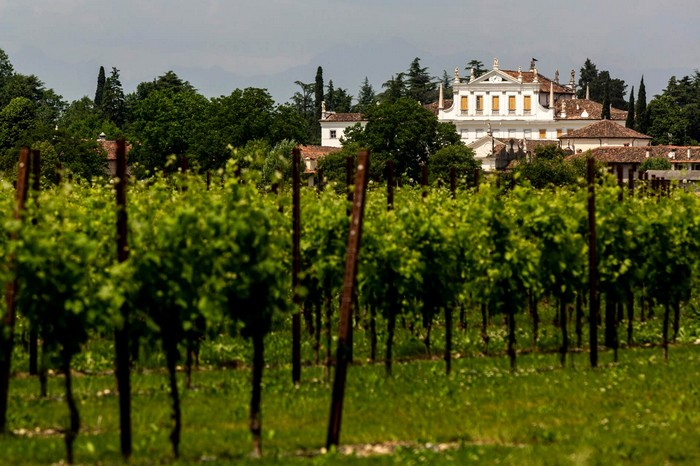 Il vino vegano in vetrina a Stresa