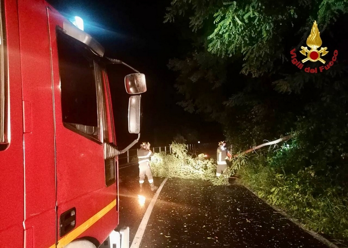 Maltempo sull’alto Verbano, piante abbattute: dieci interventi dei vigili del fuoco
