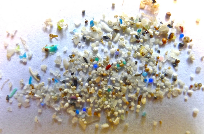 Il Verbano tra i quattro laghi del mondo più inquinati da microplastiche