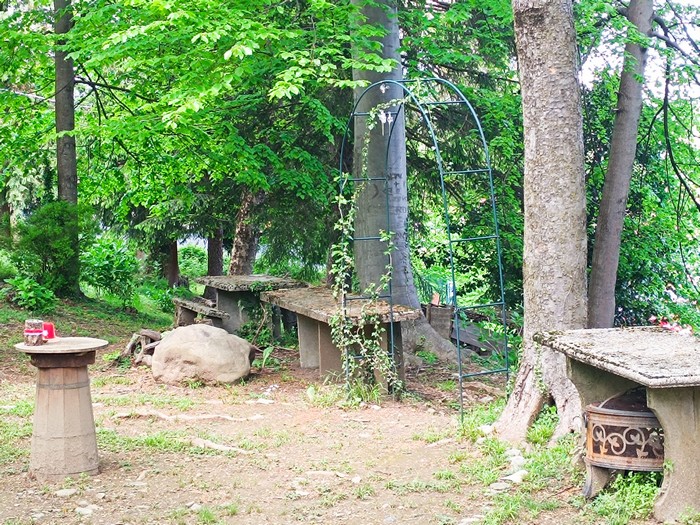  Matrimoni en-plein-air: il sì si pronuncia nei boschi